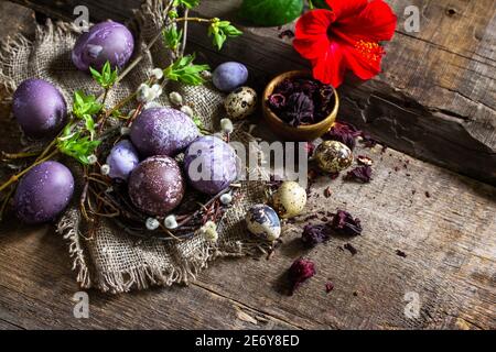 Easter egg dye purple. Homemade Eggs are painted with natural egg dye from dried hibiscus flowers on rustic table. Copy space. Stock Photo