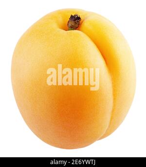 Single apricot or yellow plum isolated on white background. Apricot fruit with clipping path. Full depth of field. Stock Photo