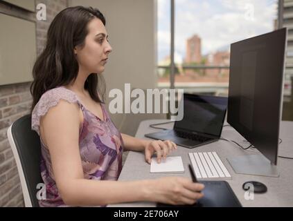 Young female freelancer working remotely from home using laptop computer and stylus Stock Photo