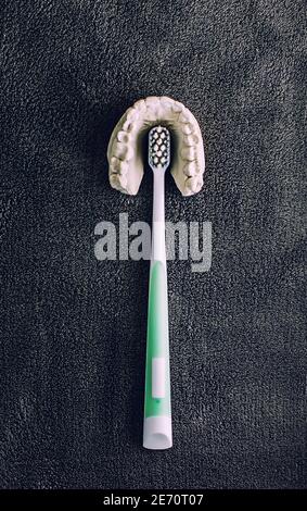 Top view of plastic tooth brush inside plaster teeth jaw record at gray background, hygiene and dental concept Stock Photo