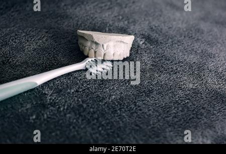 Gypsum jaw record model with plastic toothbrush at gray background, stomatology, dental health and hygiene Stock Photo