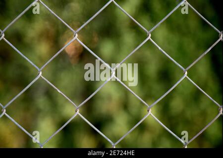 detail of a diamond-shaped steel wire fence or lattice with an out-of-focus background of green trees Stock Photo