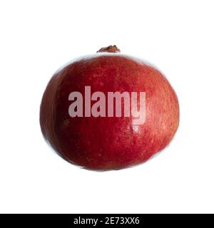 Pomegranate (Punica granatum) fruit Stock Photo