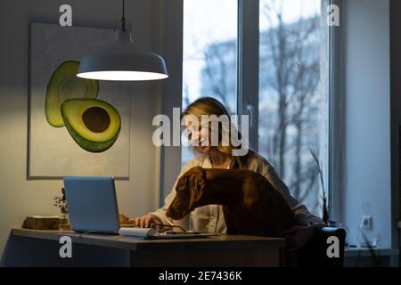 Woman in pajamas sitting with Vizsla dog on the chair in kitchen room, remotely working at laptop Stock Photo