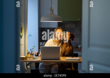 Woman in pajamas sitting with dog in kitchen room, remote work at laptop during self-isolation Stock Photo