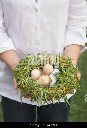 Golden eggs in the nest to celebrate easter Stock Photo