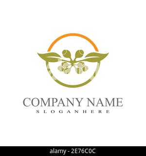 Eucalyptus leaves logo vector template design illustration Stock Vector