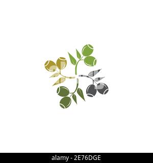 Eucalyptus leaves logo vector template design illustration Stock Vector