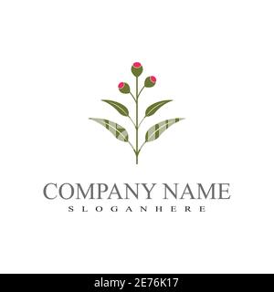 Eucalyptus leaves logo vector template design illustration Stock Vector