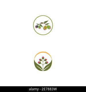 Eucalyptus leaves logo vector template design illustration Stock Vector