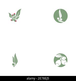 Set Eucalyptus leaves logo vector template design illustration Stock Vector