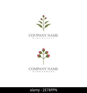 Eucalyptus leaves logo vector template design illustration Stock Vector