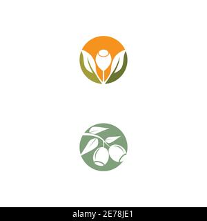 Eucalyptus leaves logo vector template design illustration Stock Vector