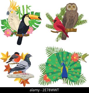 Tropical and forest birds on tree branches with flowers isolated vector illustration Stock Vector