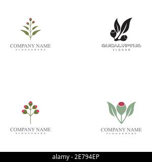 Set Eucalyptus leaves logo vector template design illustration Stock Vector