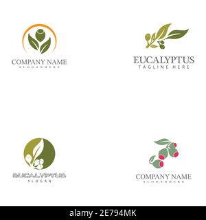 Set Eucalyptus leaves logo vector template design illustration Stock Vector