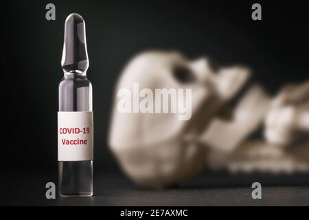 Ampoule with a vaccine against coronavirus and a toy human skull on the table, close-up. Concept on the topic of counterfeiting drugs against the COVI Stock Photo