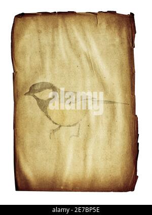 old blank page from ancient book with bird watermark isolated on white Stock Photo