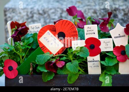 Remembrance Day 11 November in London Stock Photo