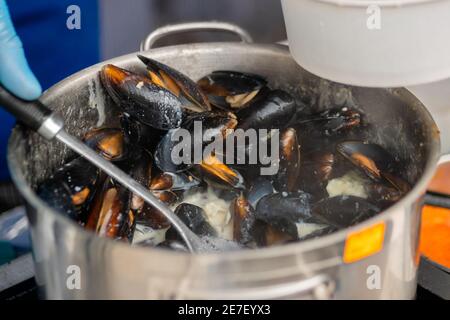 Close up: process of cooking mussels, clams in saucepan - seafood concept Stock Photo