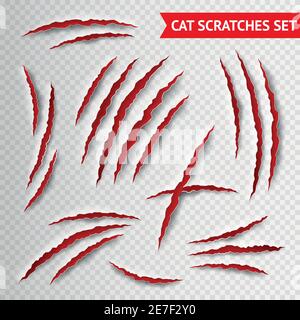 Cat claws scratches on transparent background realistic vector illustration Stock Vector