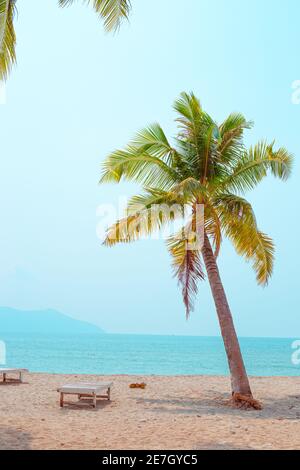 Tropical paradise landscape. Palm tree on the beach on the sand, empty sun loungers for relaxation. Holiday season on Koh Chang island in Thailand. Stock Photo