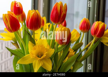 Tulpen und Narzissen, Blumenstrauß im Frühjahr
