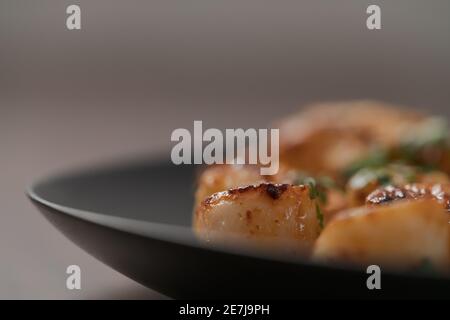 Seared scallops on black plate closeup, shallow focus Stock Photo