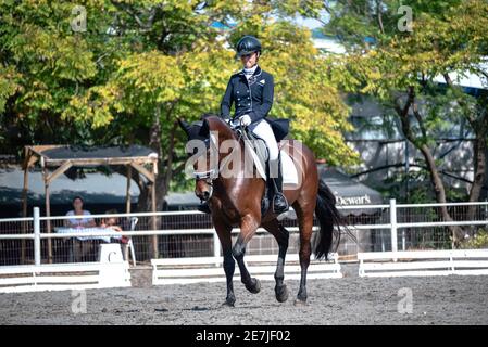 Dressage Competition October 2019 Israel Stock Photo