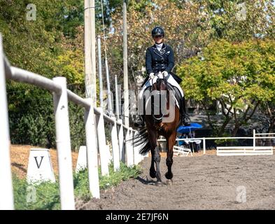 Dressage Competition October 2019 Israel Stock Photo