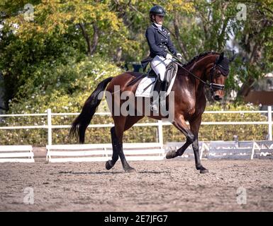 Dressage Competition October 2019 Israel Stock Photo