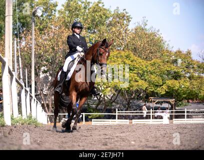 Dressage Competition October 2019 Israel Stock Photo