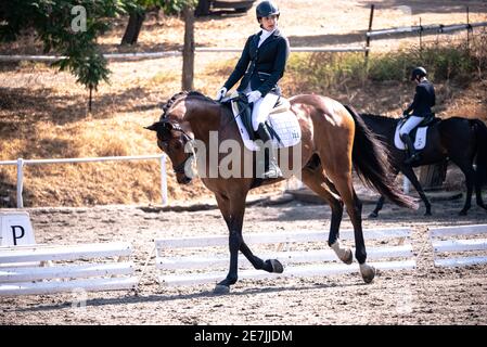 Dressage Competition October 2019 Israel Stock Photo