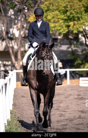 Dressage Competition October 2019 Israel Stock Photo