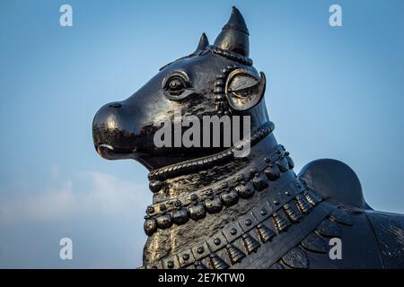 View of giant Nandhi statue in a temple, Kolar, Karnataka, India. Nandi is the gate-guardian deity of Kailasa, the abode of Lord Shiva Stock Photo