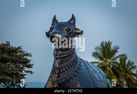 View of giant Nandhi statue in a temple, Kolar, Karnataka, India. Nandi is the gate-guardian deity of Kailasa, the abode of Lord Shiva Stock Photo