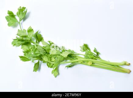 Fresh Chinese Celery On White Background Stock Photo Alamy