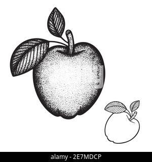 Apple hand drawn vector illustration. Apple with leaves outline graphic. Apple sketch drawing. Part of set. Stock Vector