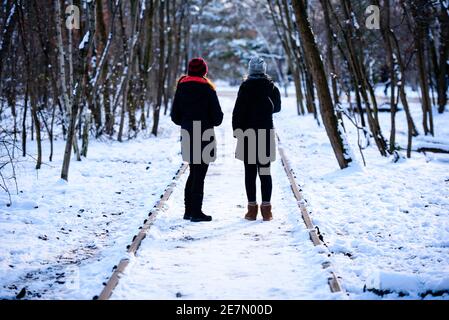 Berlin, Berlin, Germany. 30th Jan, 2021. Two persons can be seen on a snowy path in the Flaschenhalspark in Berlin-Schoeneberg. Berlin residents are urgently required to reduce physical social contact with people from outside the home to the absolute minimum. People may only leave their home for important reasons. Credit: Jan Scheunert/ZUMA Wire/Ģ����ý Live News Stock Photo