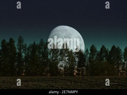Moon rises behind trees in a forest Stock Photo