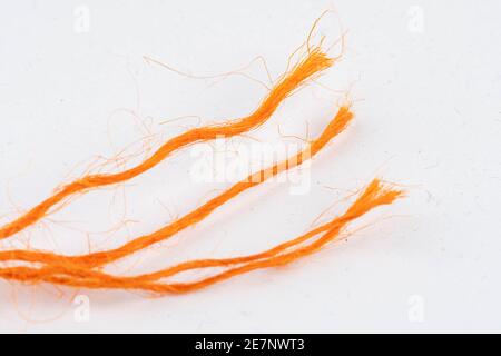 Rope with two tattered ends Stock Photo - Alamy