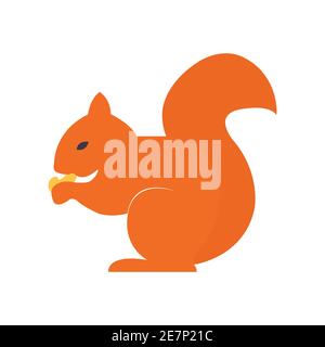 Cute orange squirrel sitting and eating nuts on white Stock Vector