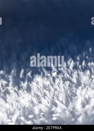 Abstract white and blue background of frozen snowflakes Stock Photo