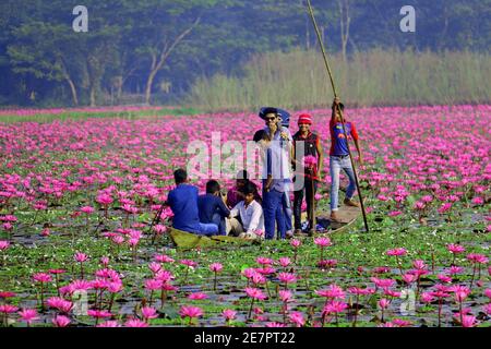 Now is the time to look at the Red Shuffler Bill in Bangladesh Stock Photo