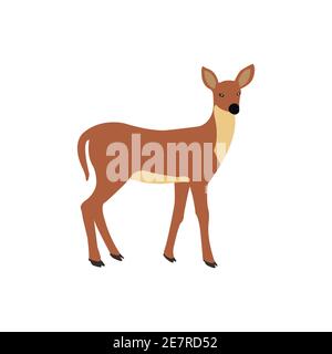 Cute brown faun on a white backdrop Stock Vector