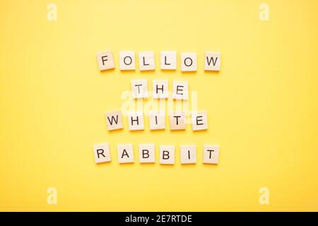 Phrase follow the white rabbit made from wooden blocks on a light yellow background Stock Photo