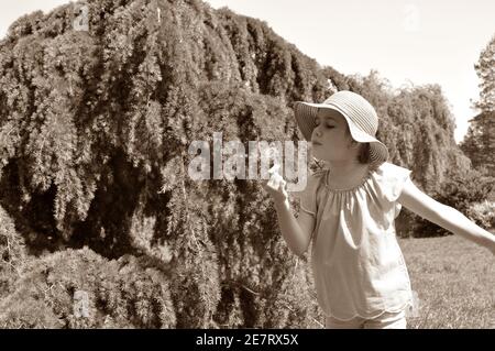 Cute young girl with big hat, blowing dandelion in park on spring time. Copy space, sepia style Stock Photo