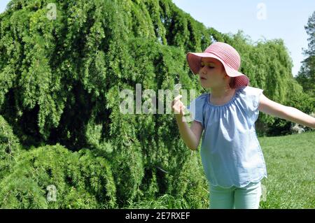 Cute 8 years girl with colored hat, blowing the dandelion in the park, green trees background, selective focus, copy space Stock Photo