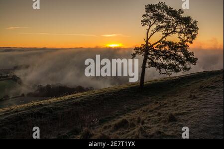 view of the lone scots pine and winter morning sun appearing over the mist filled Pewsey Vale from Martinsell Hill, Wiltshire, North Wessex Downs AONB Stock Photo