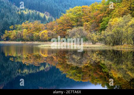 Colourful autumn reflections on Loch Chon in the Trossachs, Scotland, UK Stock Photo